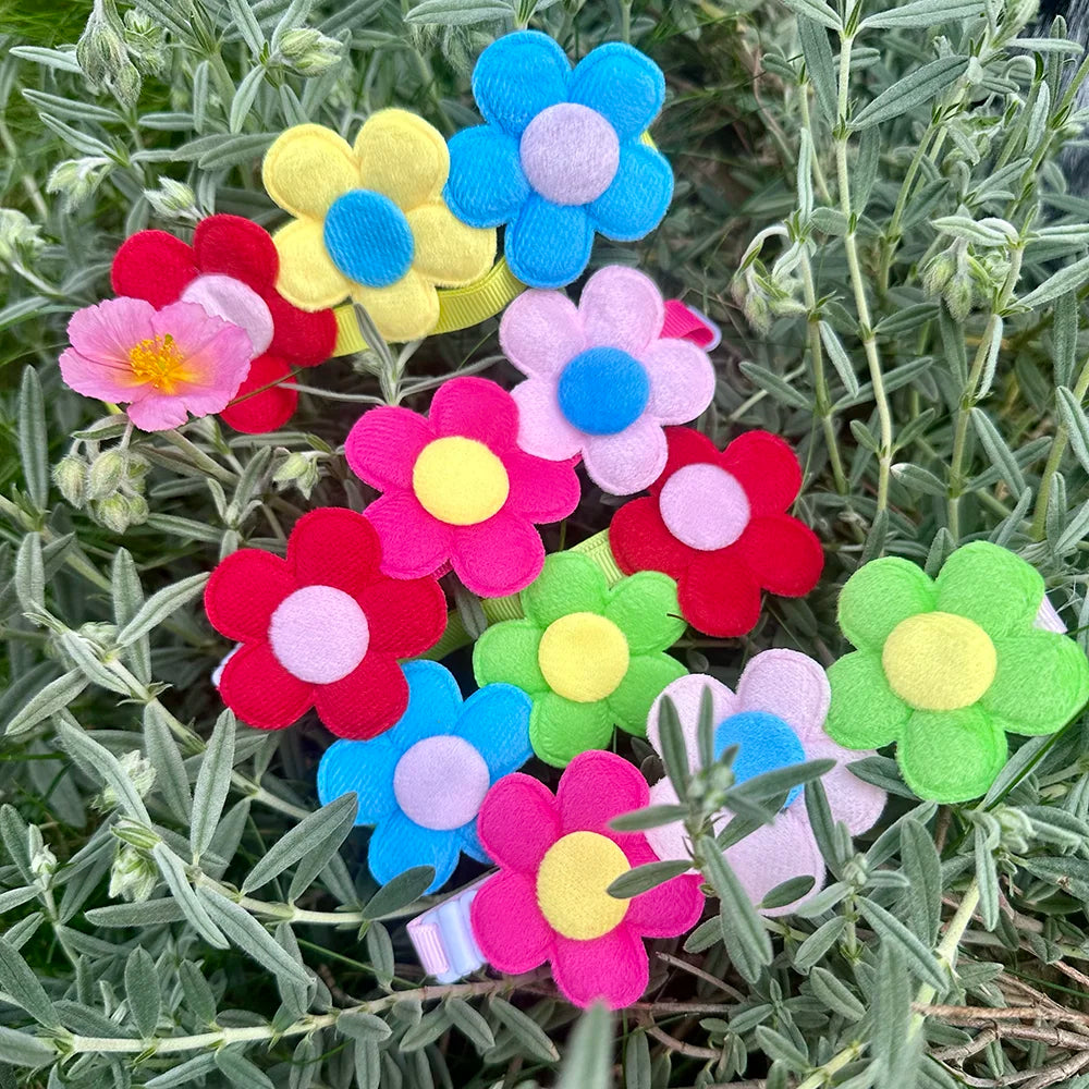 Adjustable Multicoloured Flower Dog Collar