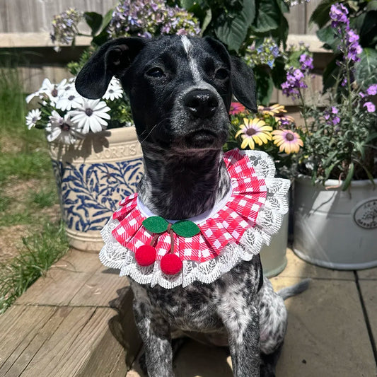 Red Cherry Gingham Lace Ruffle Dog Collar